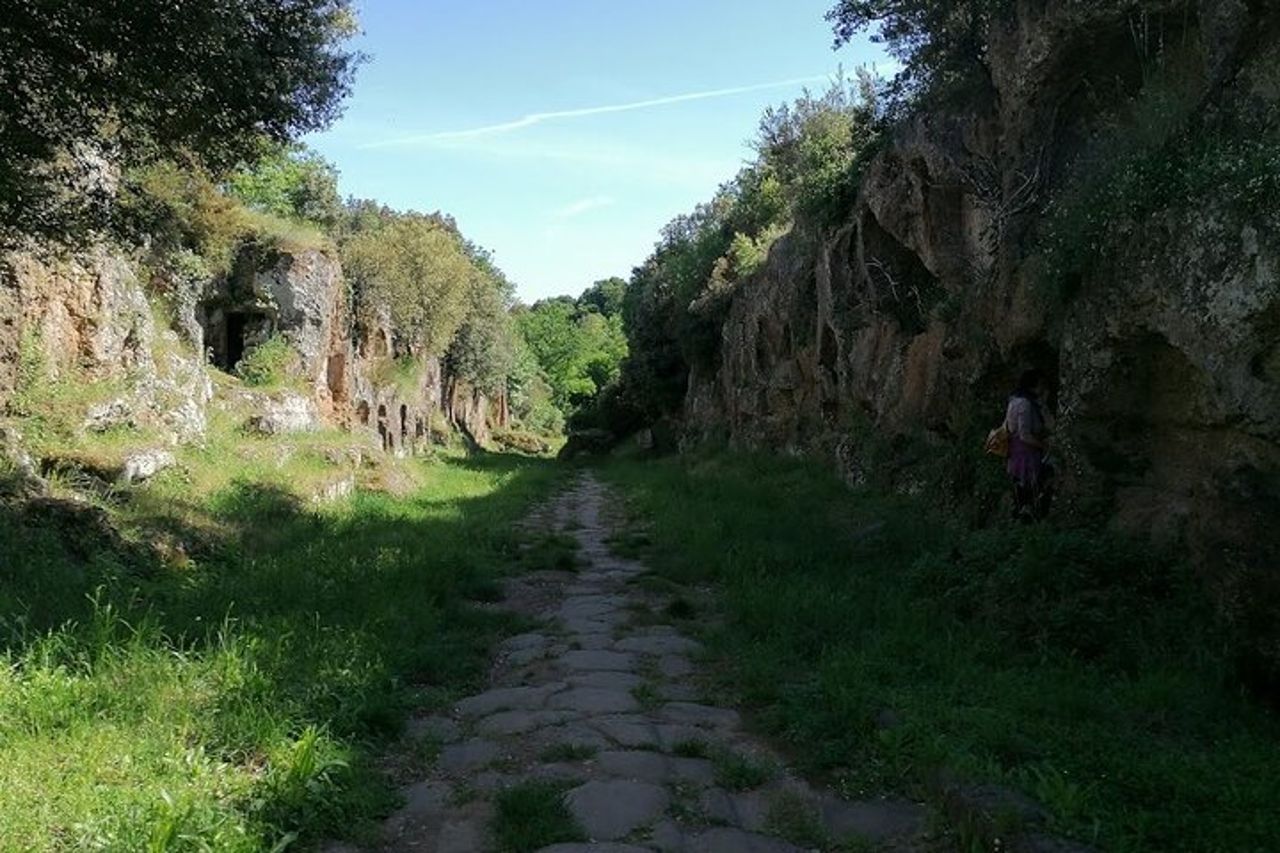 Dog friendly tour, archeological sites and nature around Rome, package price — 9