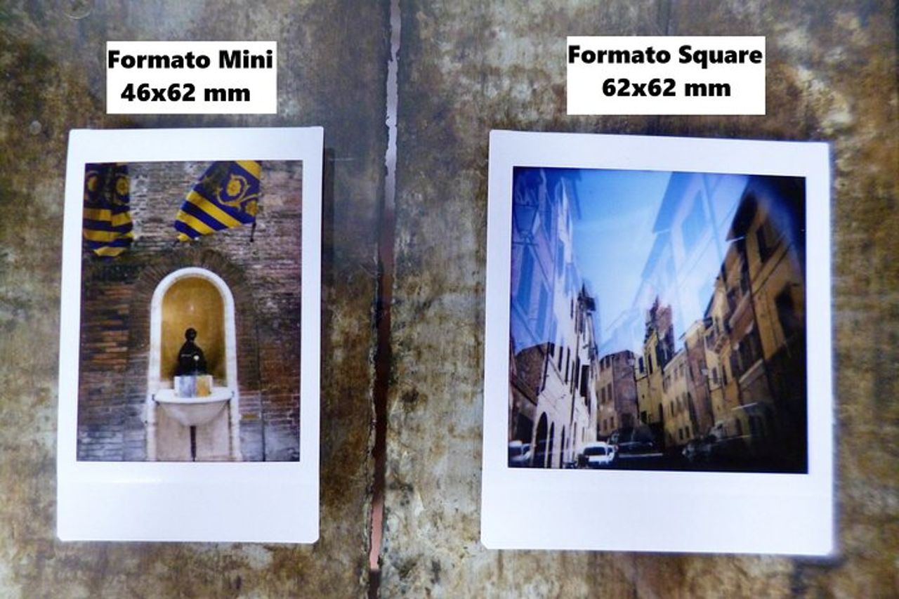 I 17 Animali Fantastici di Siena — 5