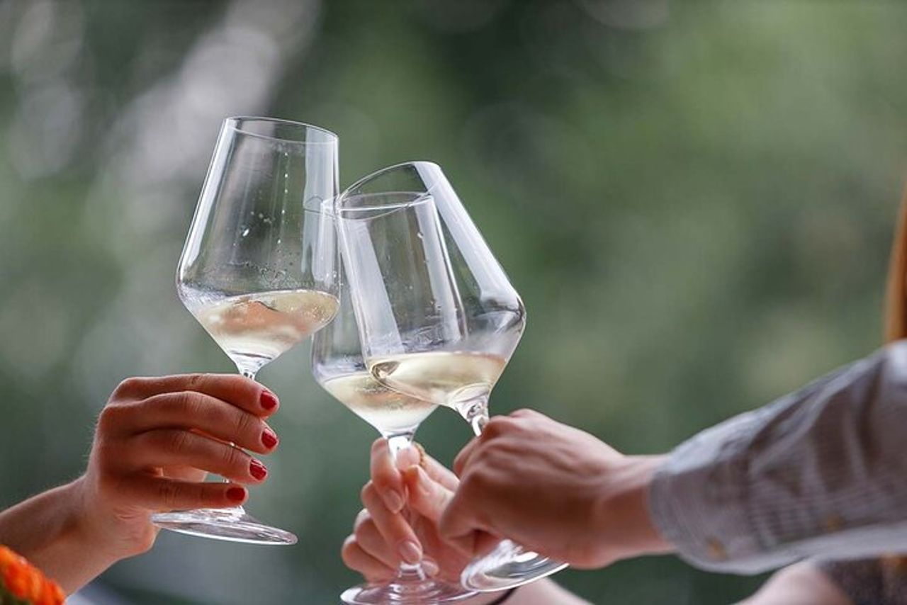 Tour della cantina e degustazione dei vini del Garda a Lazise — 5