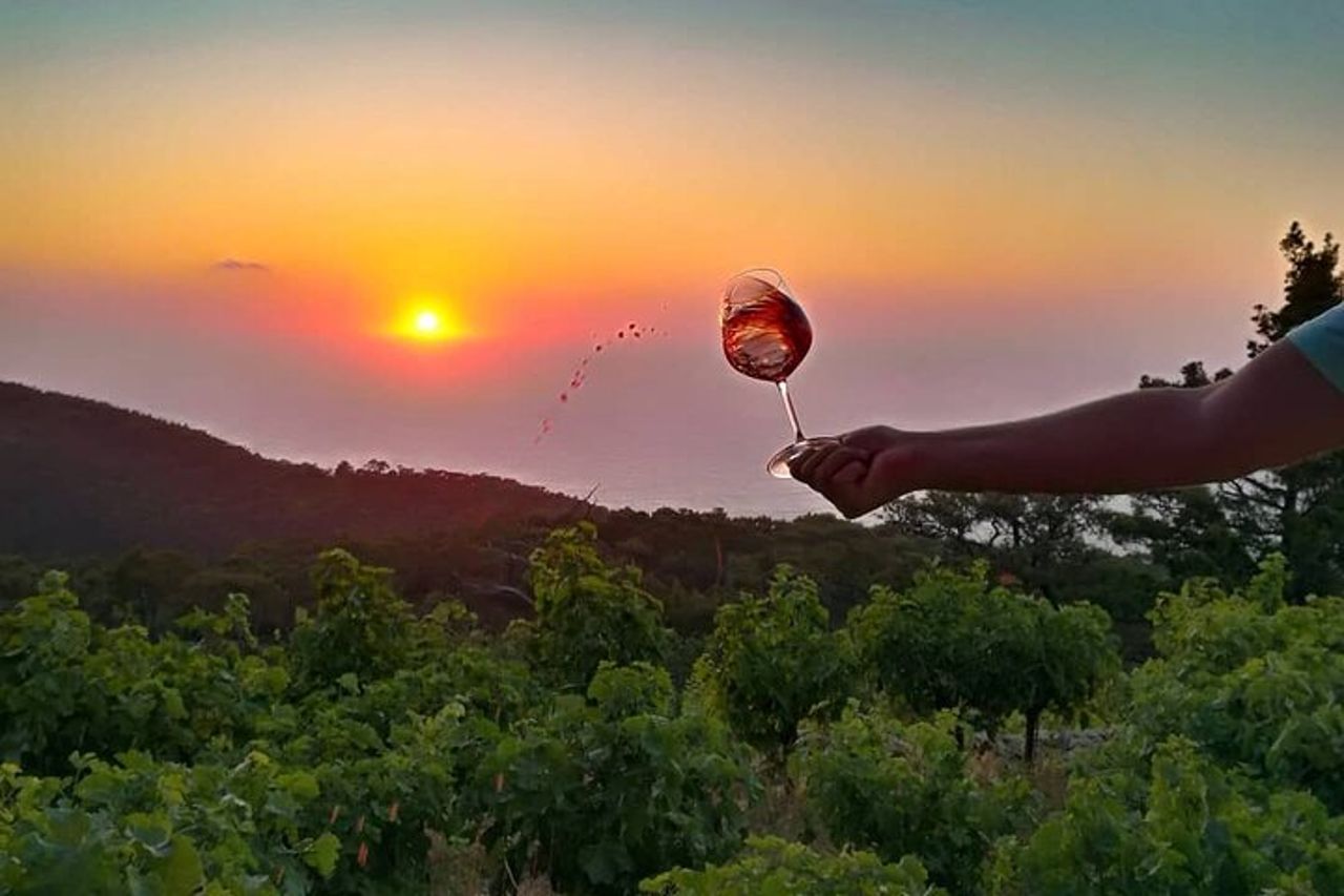 Visita della cantina e degustazione di vini presso la cantina Karimalis a Ikaria — 4