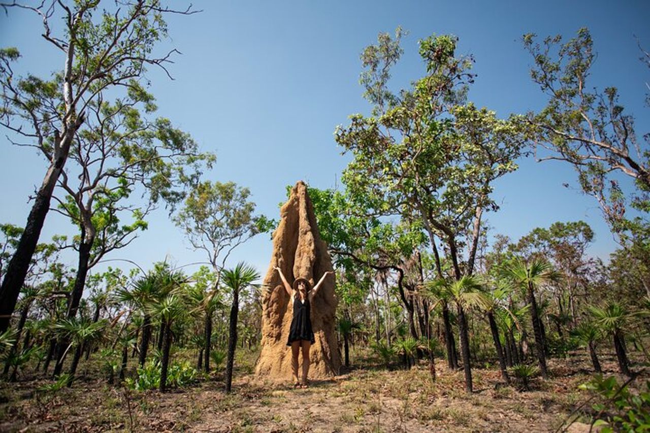 Tour del Parco Nazionale di Litchfield con zone umide o crociera con i coccodrilli — 3