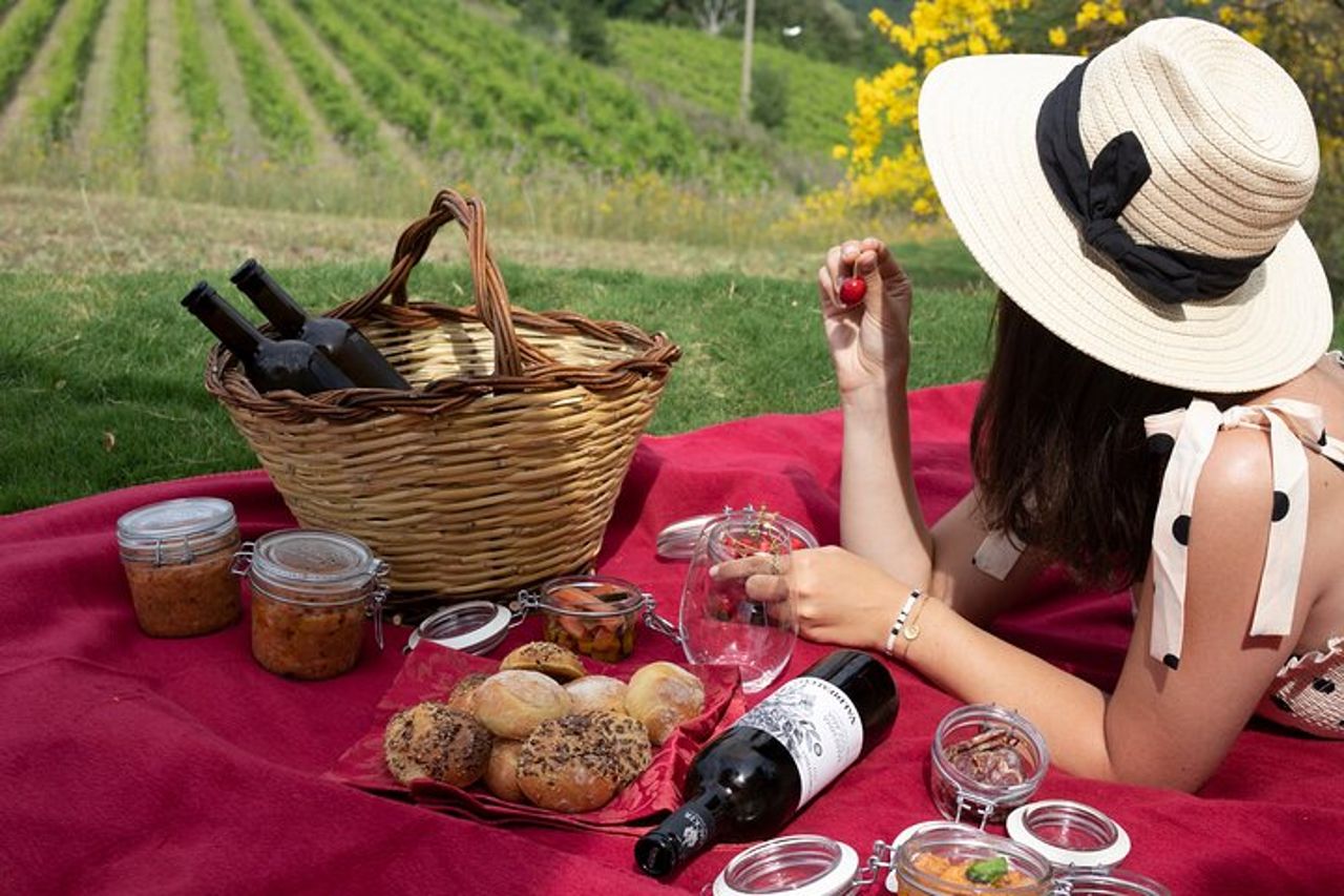 Visita guidata e picnic in vigna con una bottiglia di vino — 5