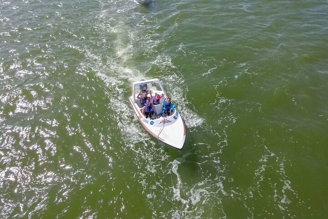 Tour in motoscafo delle mangrovie e della laguna — 2