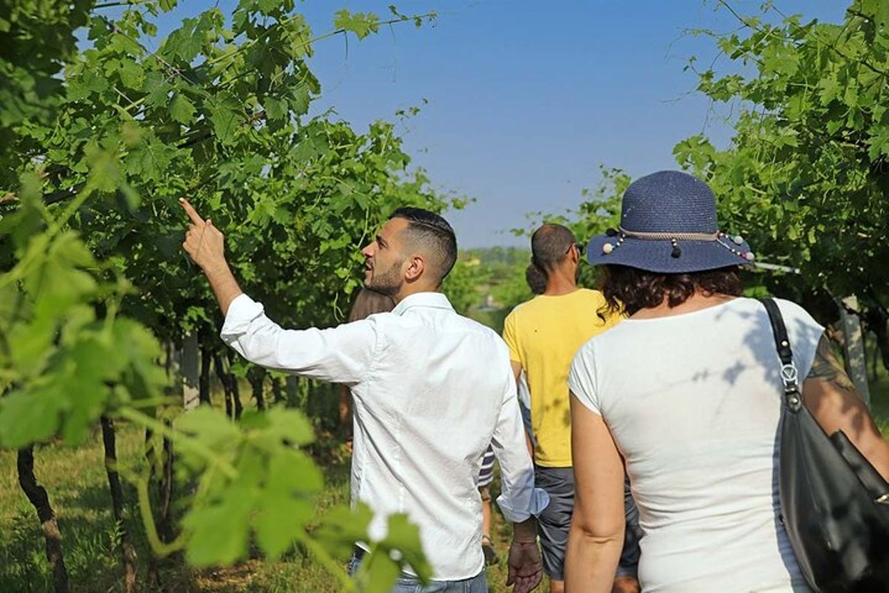 Fattoria Biodinamica e degustazione vini naturali a Lazise — 3