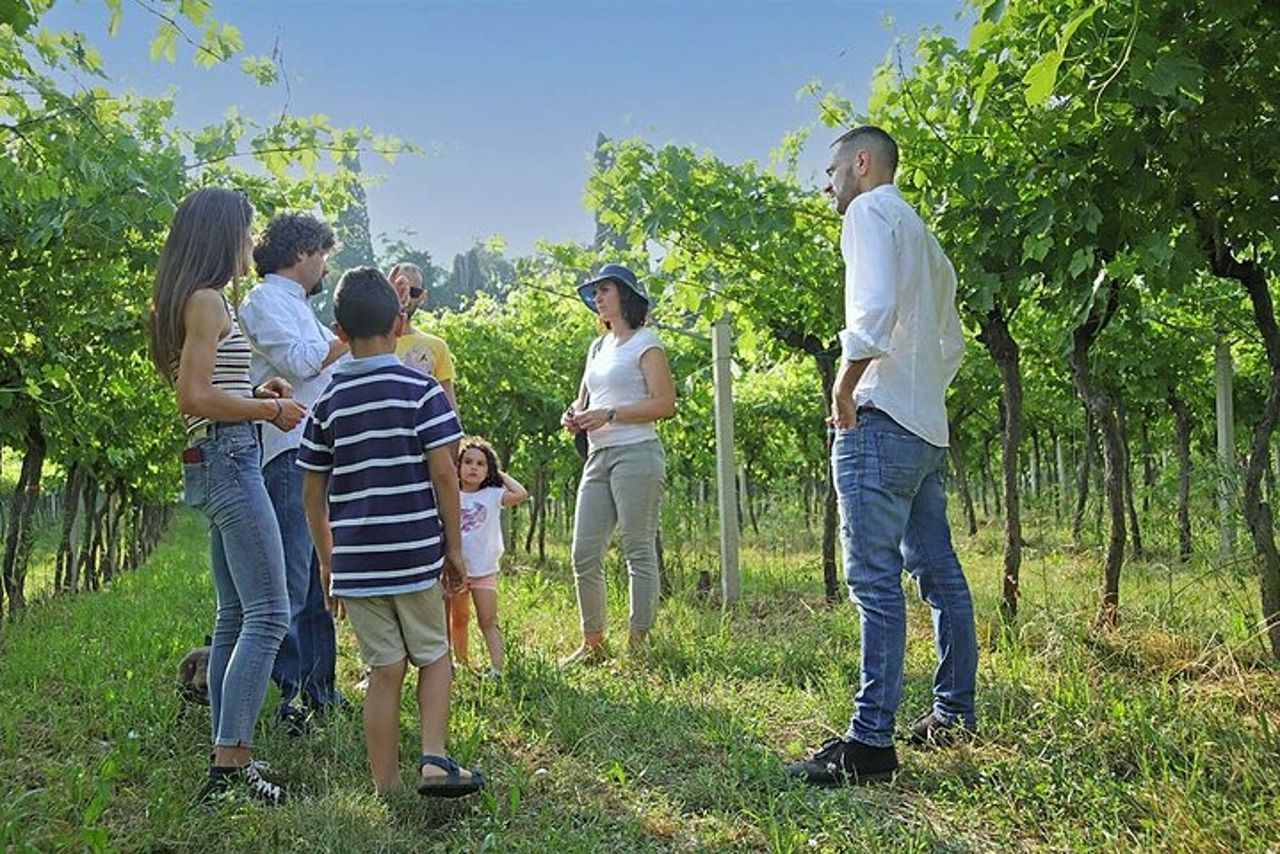 Fattoria Biodinamica e degustazione vini naturali a Lazise — 4
