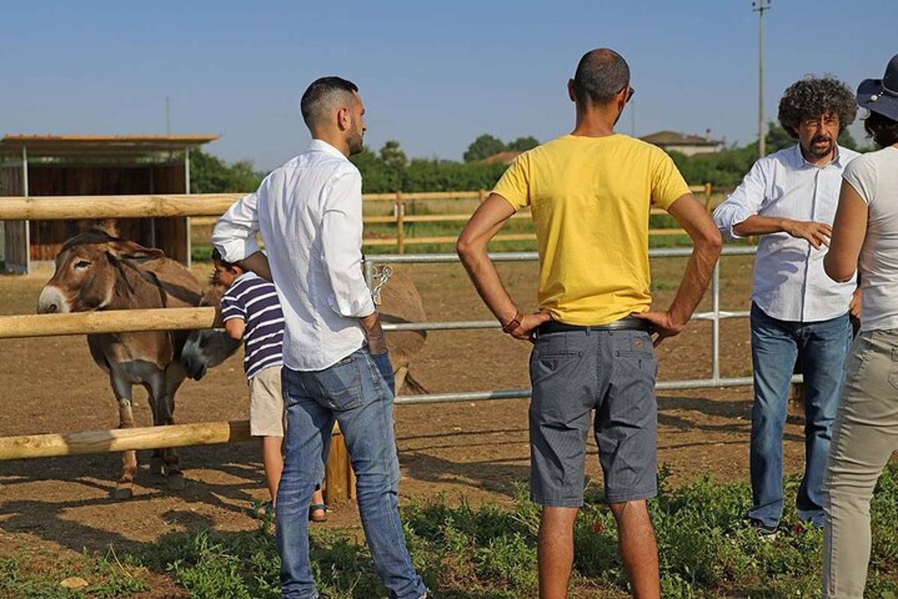 Fattoria Biodinamica e degustazione vini naturali a Lazise — 5