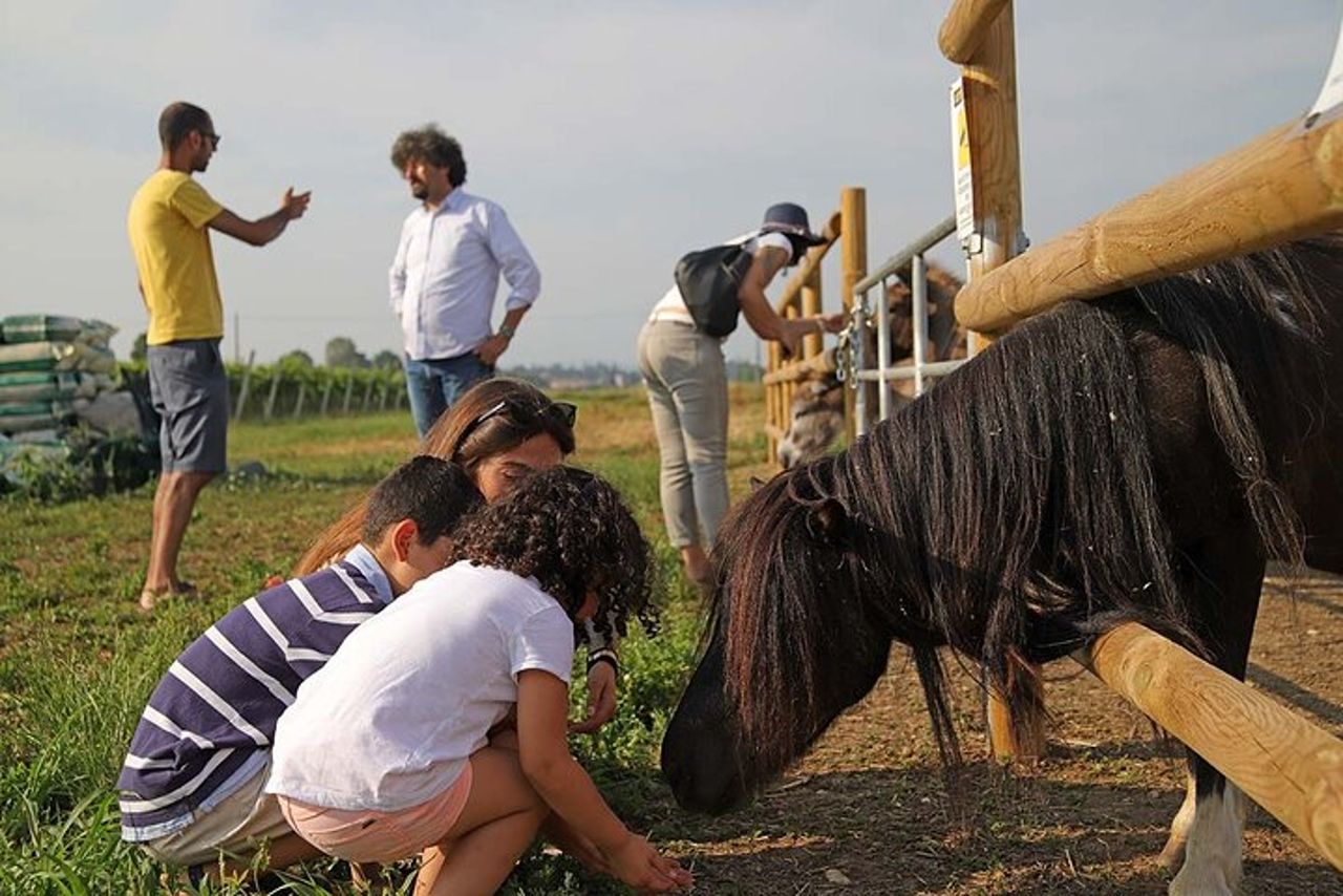 Fattoria Biodinamica e degustazione vini naturali a Lazise