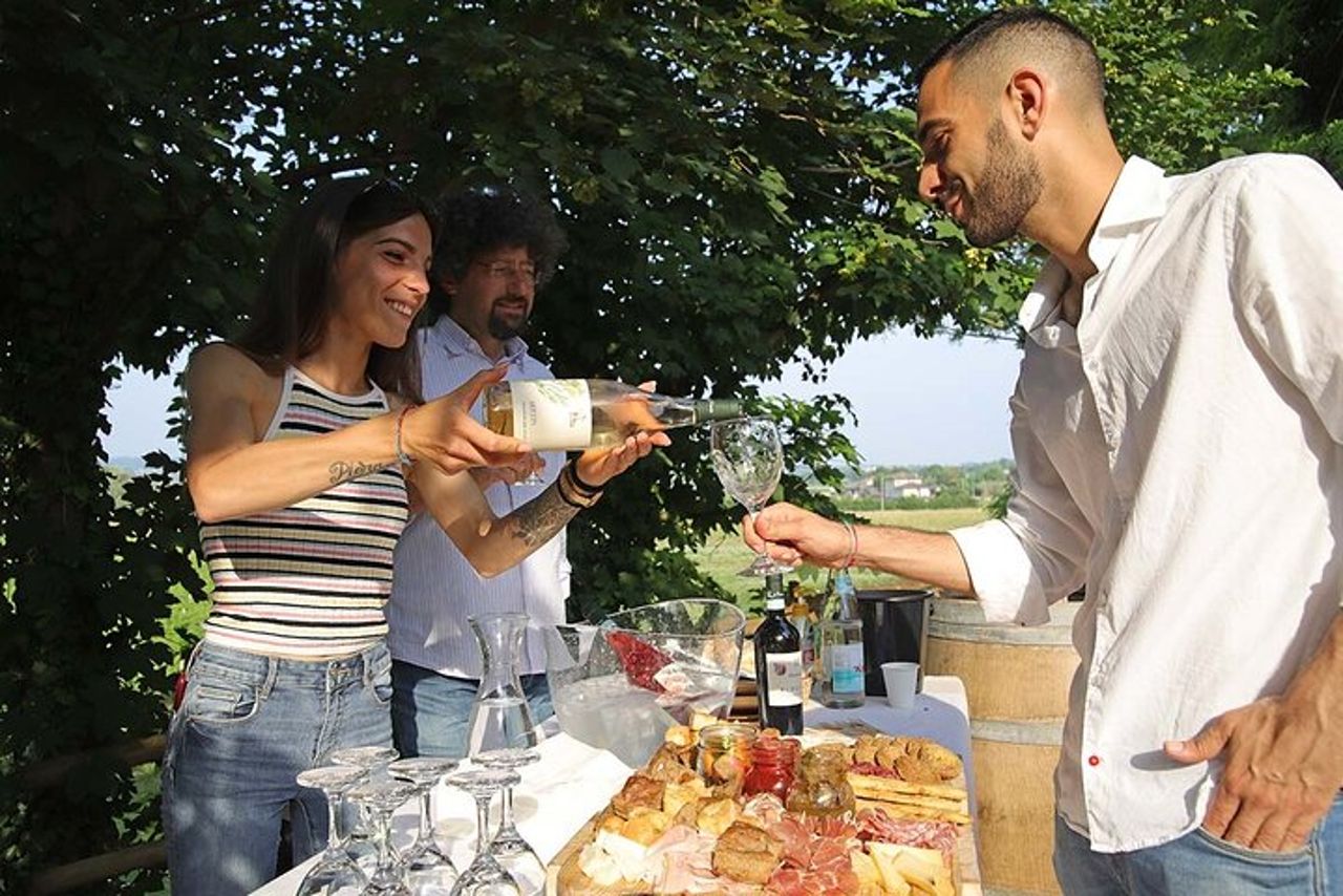 Fattoria Biodinamica e degustazione vini naturali a Lazise — 2