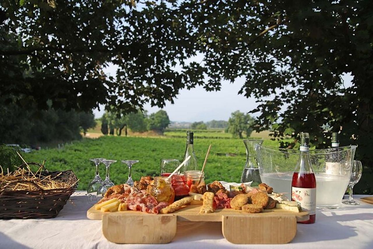 Fattoria Biodinamica e degustazione vini naturali a Lazise — 7