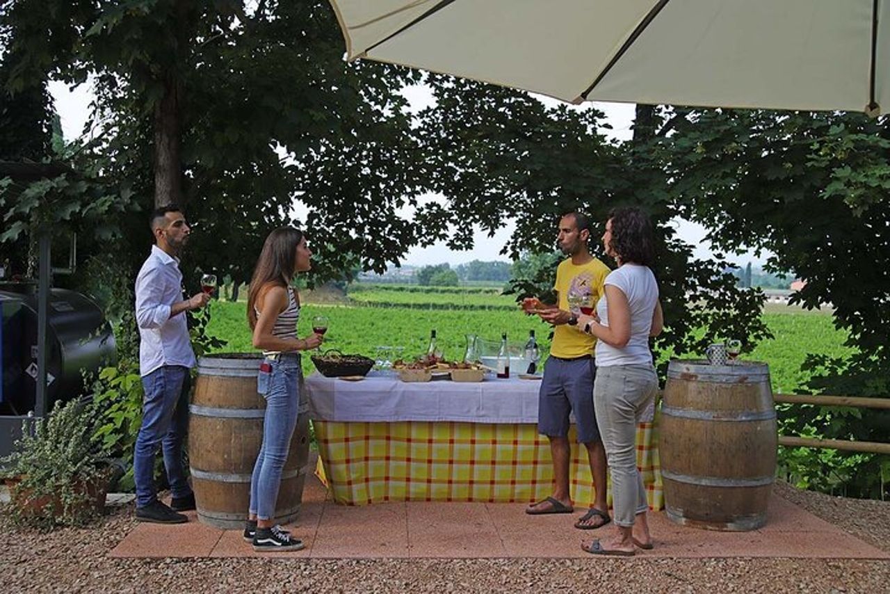 Fattoria Biodinamica e degustazione vini naturali a Lazise — 9