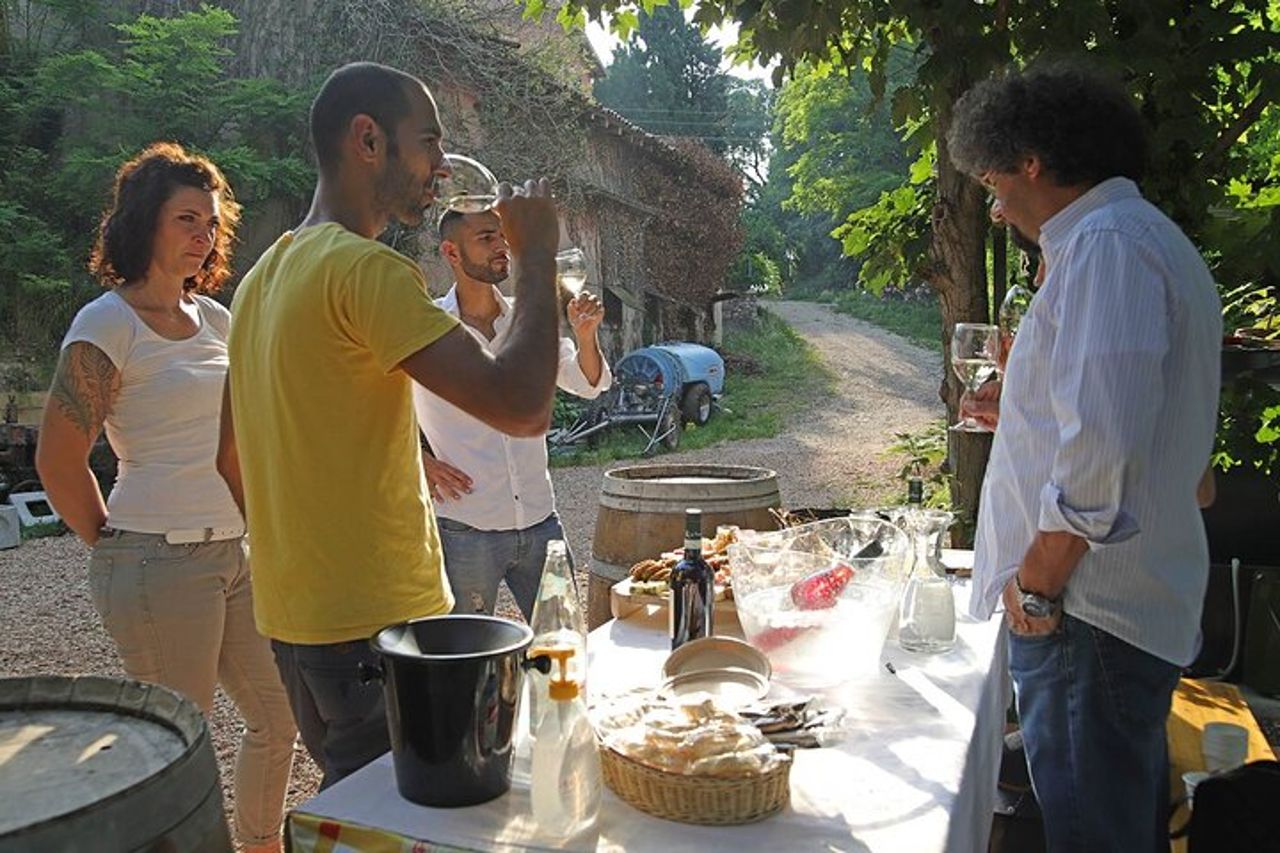 Fattoria Biodinamica e degustazione vini naturali a Lazise — 6