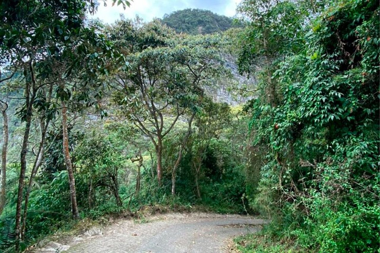 Birdwatching e natura alla riserva naturale della foresta pluviale di Chicaque — 9