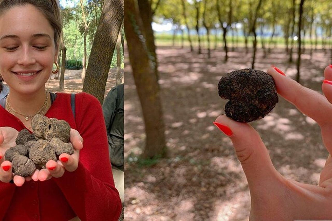 Vivi la caccia al tartufo con vino e pranzo — 6