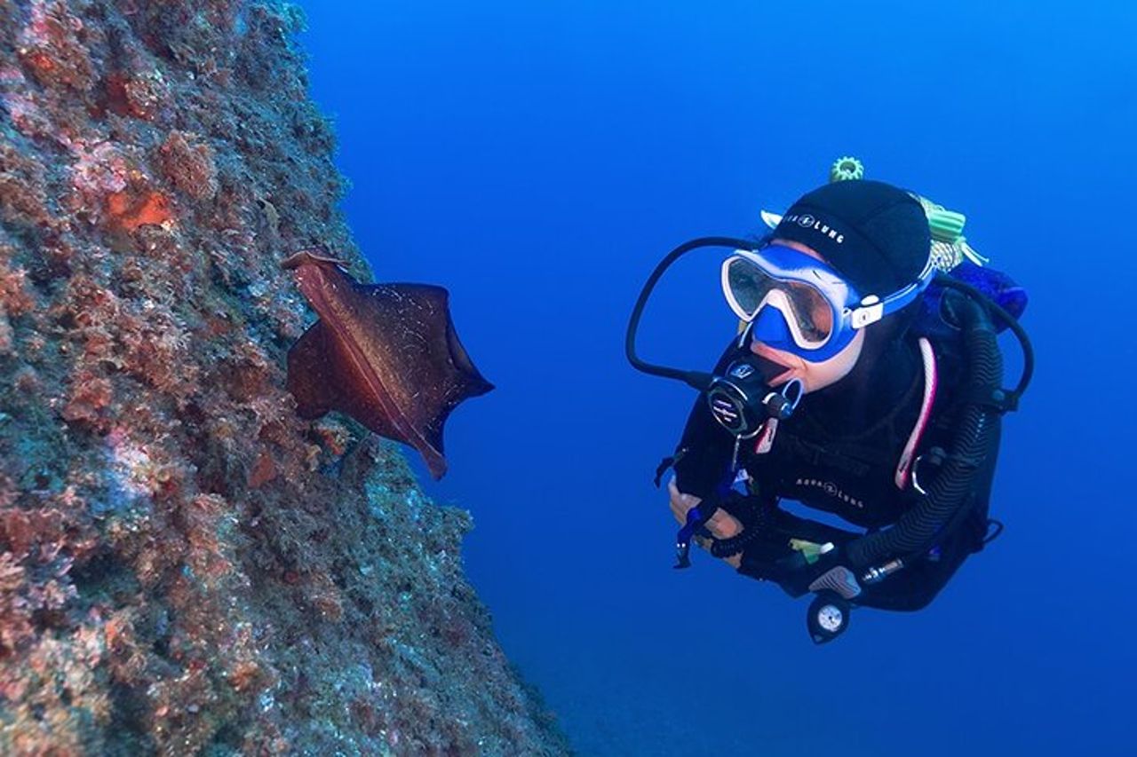 Avventura subacquea per piccoli gruppi in Costa Brava