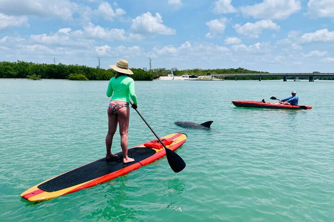 Tour avventuroso con delfini e lamantini a Fort Myers — 5