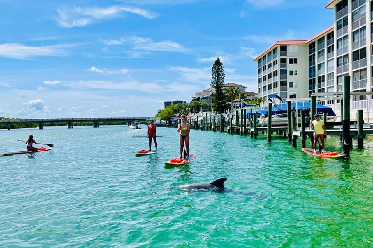 Tour avventuroso con delfini e lamantini a Fort Myers — 4