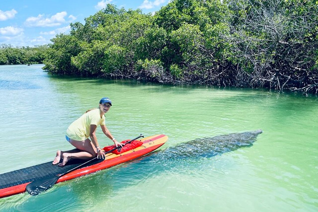Tour avventuroso con delfini e lamantini a Fort Myers — 2