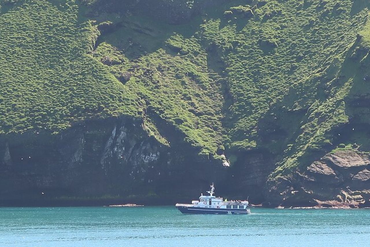 Giro in barca a Vestmannaeyjar — 4