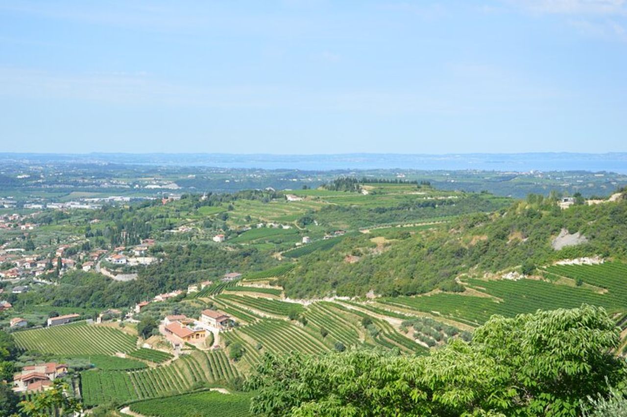 Pagus Wine Tours® - Un assaggio di Amarone - Tour del vino di mezza giornata — 3