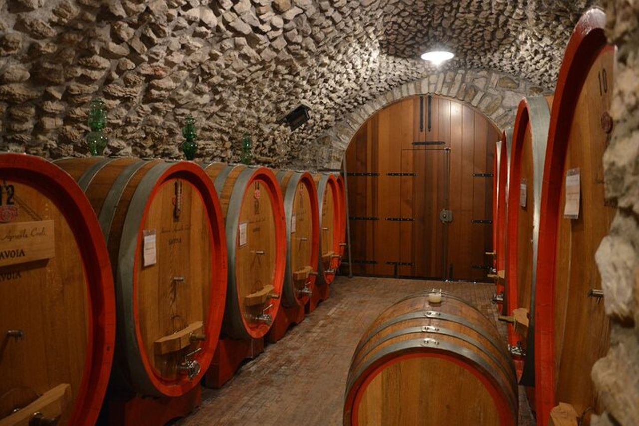 Pagus Wine Tours® - Un assaggio di Amarone - Tour del vino di mezza giornata — 4