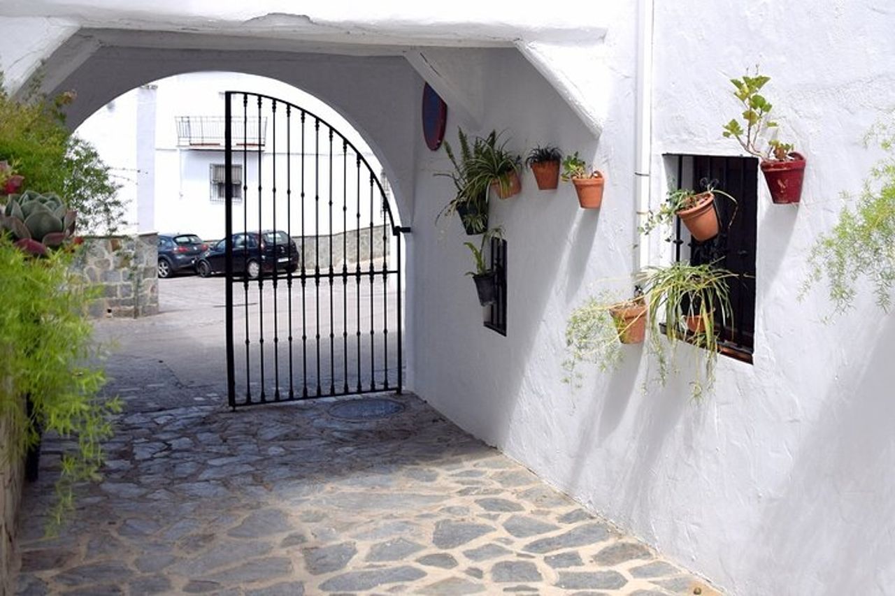 Tour del vino e delle tapas in bici elettrica (e-bike) incluso il ritiro a Ronda (mezza giornata) — 9