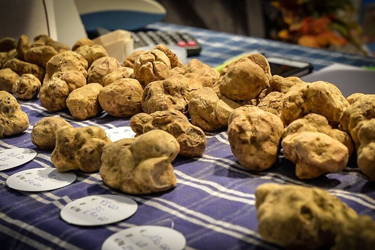 Fiera del Tartufo d'Alba: visita guidata e accesso salta fila