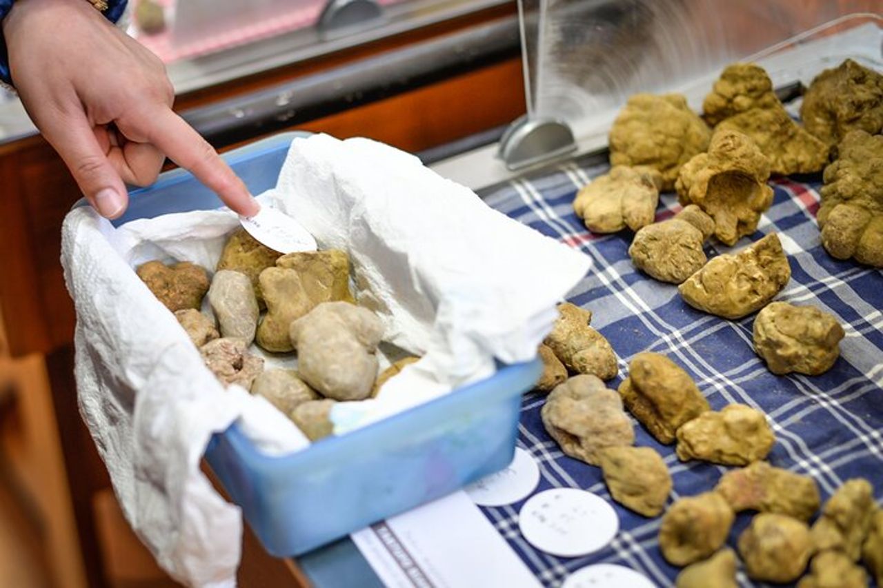 Fiera del Tartufo d'Alba: visita guidata e accesso salta fila — 2