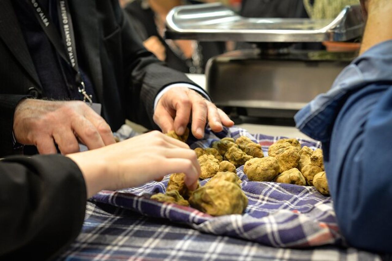Fiera del Tartufo d'Alba: visita guidata e accesso salta fila — 3