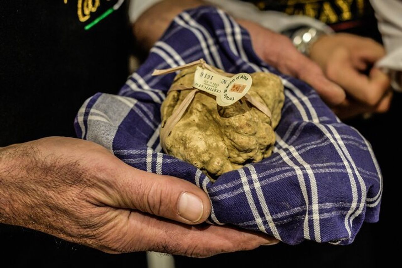 Fiera del Tartufo d'Alba: visita guidata e accesso salta fila — 5