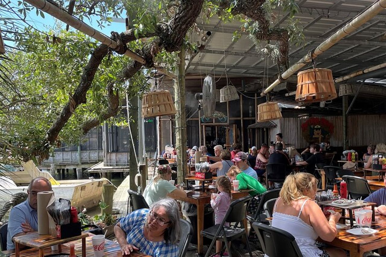Da Savannah a Tybee Island con crociera con i delfini — 7