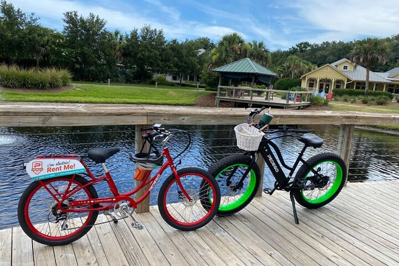 Tour in bici elettrica Amelia Island & Big Talbot Island — 3