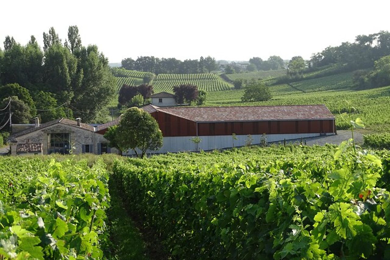 Laboratorio e degustazione di Verres-Tigineux a Saint-Émilion — 2