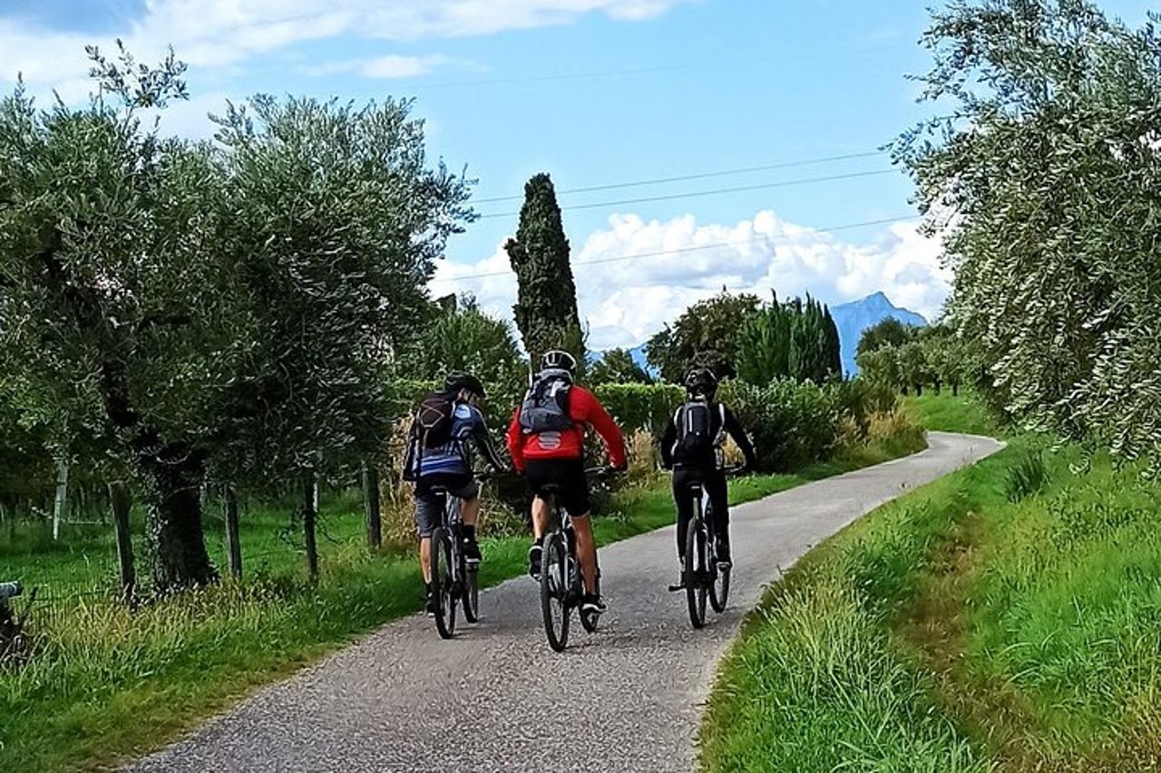 E-Bike Tour e degustazione di vini da Bardolino — 2