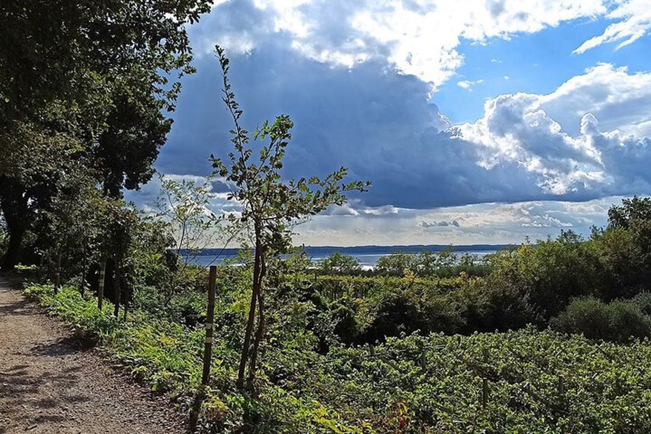E-Bike Tour e degustazione di vini da Bardolino — 7