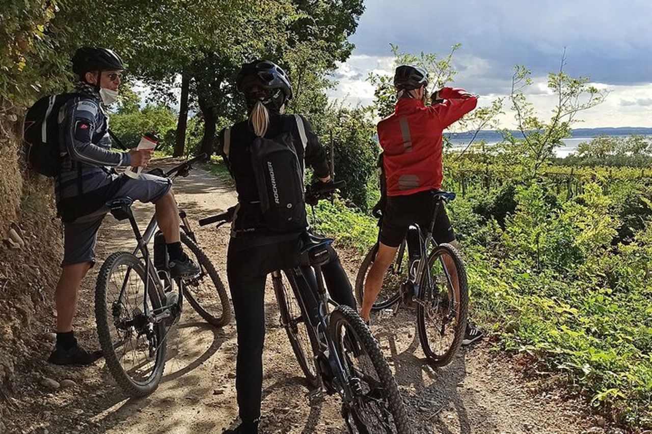 E-Bike Tour e degustazione di vini da Bardolino — 6