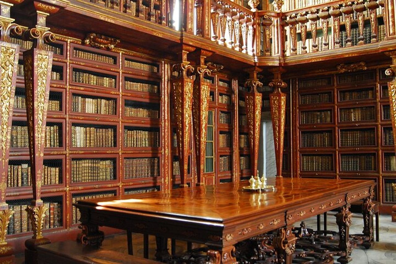 Tour privato del meglio di Coimbra e Aveiro – Esperienza personalizzabile — 6
