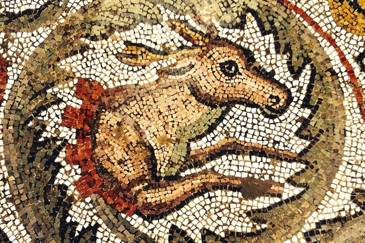 VILLA ROMANA (UNESCO) a PIAZZA ARMERINA Tour privato con Guida — 7