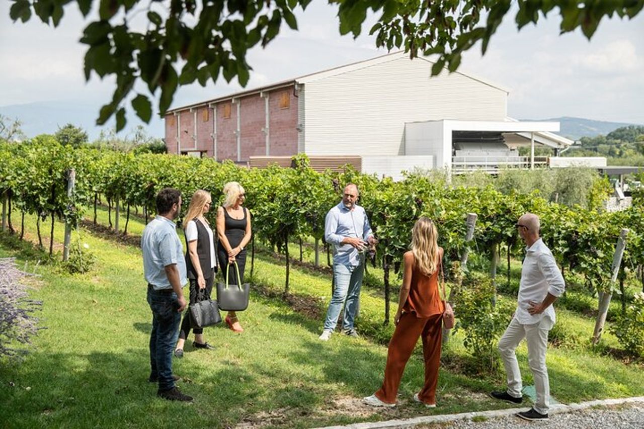 Tour e Degustazione di Vini Biologici a Lazise — 2