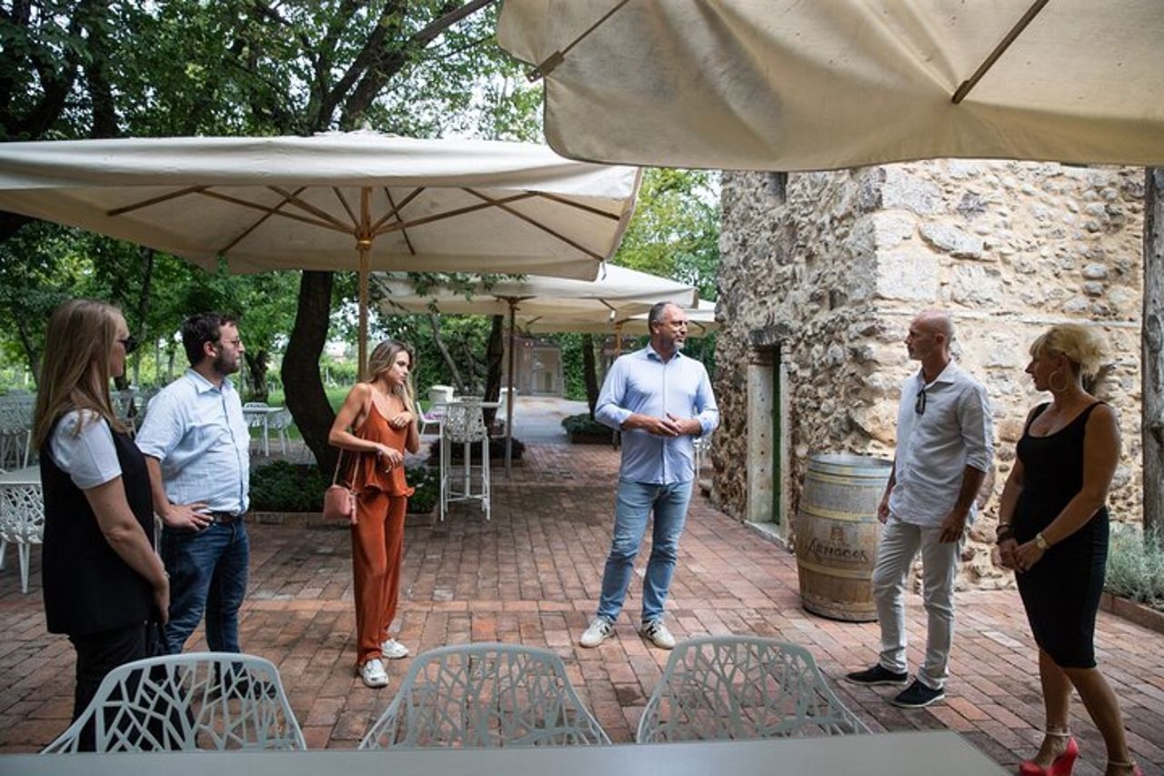 Tour e Degustazione di Vini Biologici a Lazise — 6