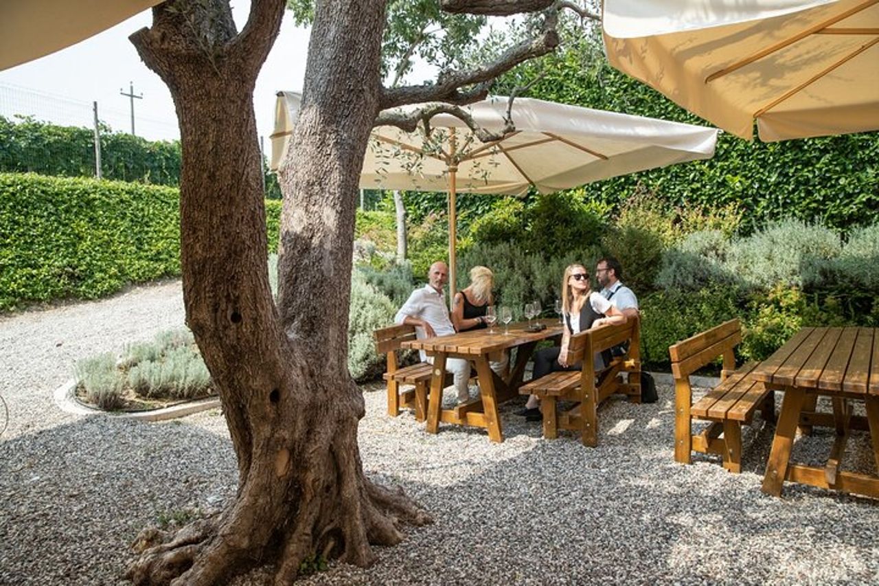 Tour e Degustazione di Vini Biologici a Lazise — 7