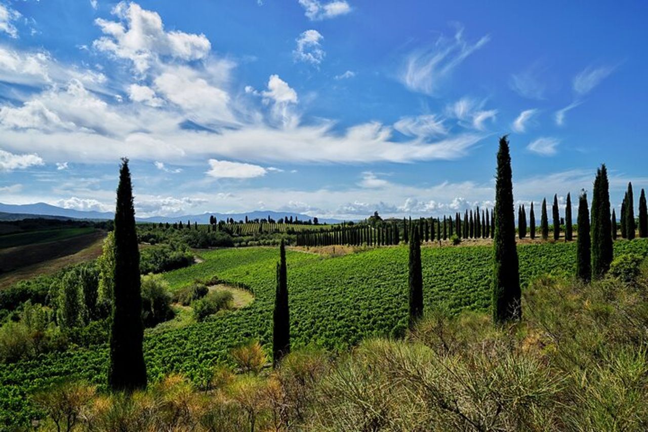 Visita guidata con degustazione di vini a Montalcino — 9