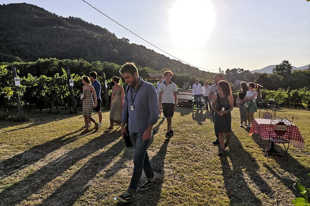 Degustazione in un Vigneto Toscano con trasferimento da Lucca — 7