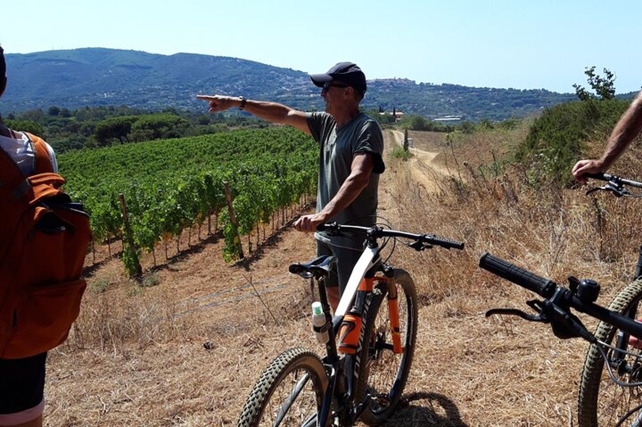 Wine Tour Cicloturistico Guidato in E-Bike all'Isola d'Elba "Arrighi" — 6