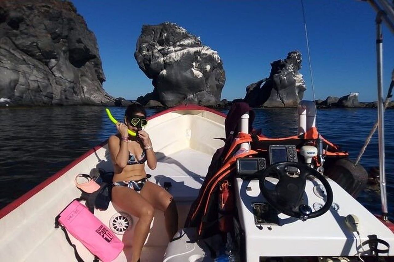 Il miglior tour dell'isola di Coronado — 9