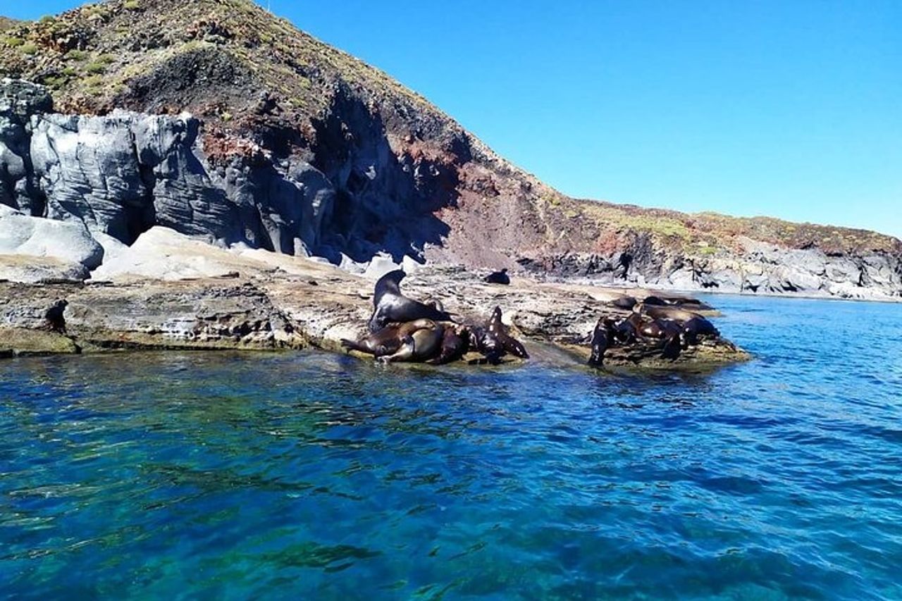 Il miglior tour dell'isola di Coronado — 3