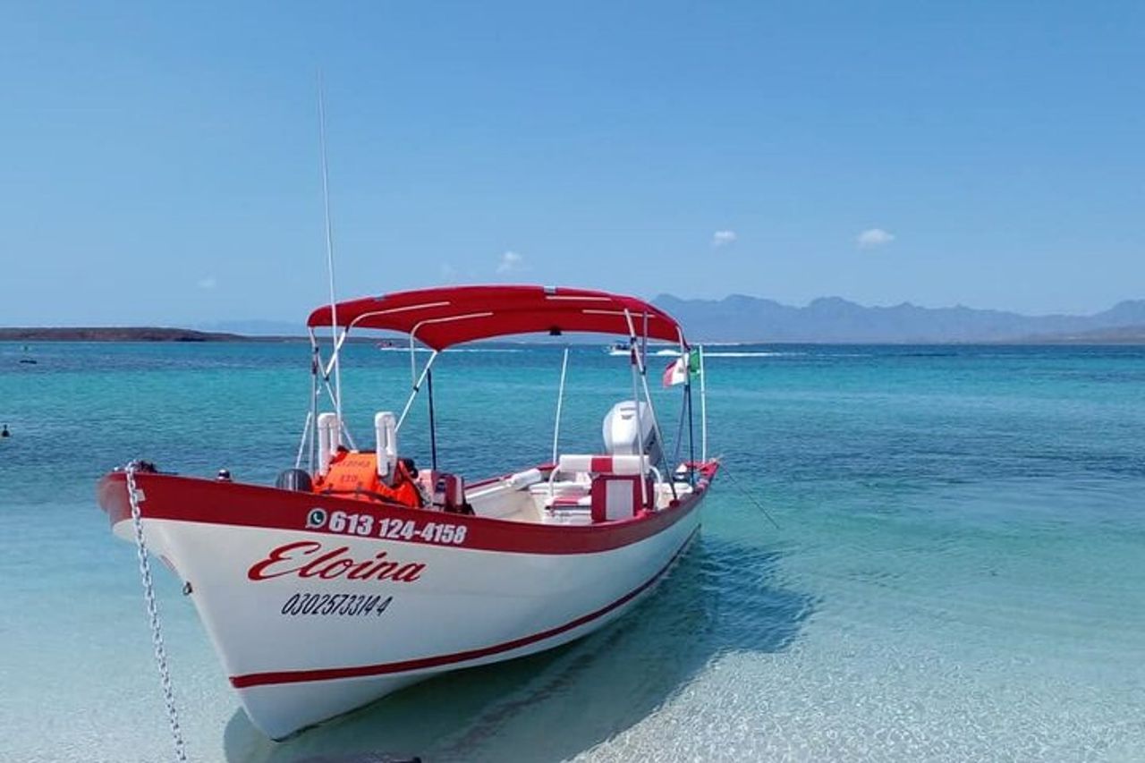 Il miglior tour dell'isola di Coronado — 6