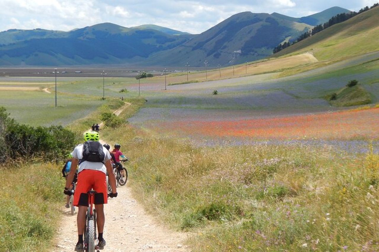 Tour di 4 Giorni Guidato in E-Bike a Ascoli Piceno — 4