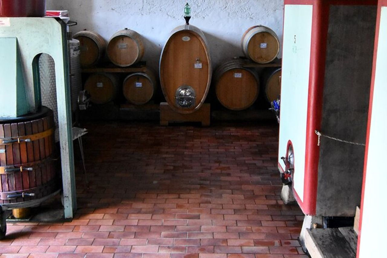 Tour privato del vino del Chianti — 6