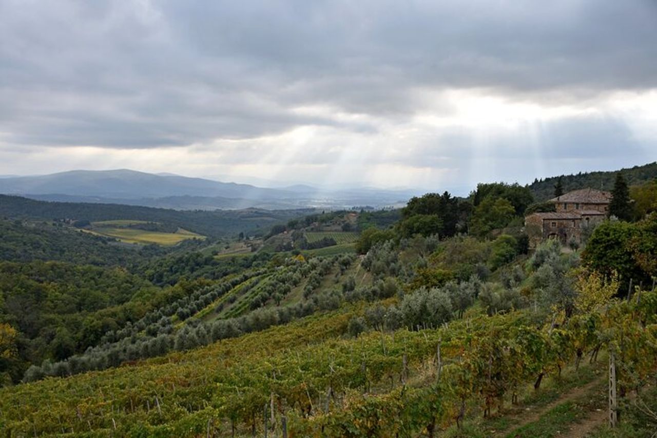 Tour privato del vino del Chianti — 4