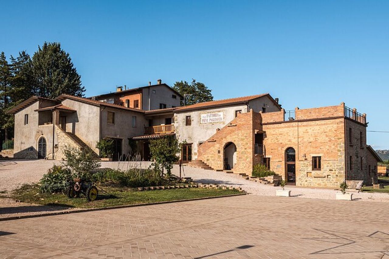 Visita Privata nella Cantina Brugnoni con Degustazione 4 vini — 5